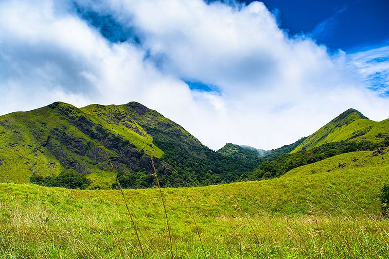 Wayanad