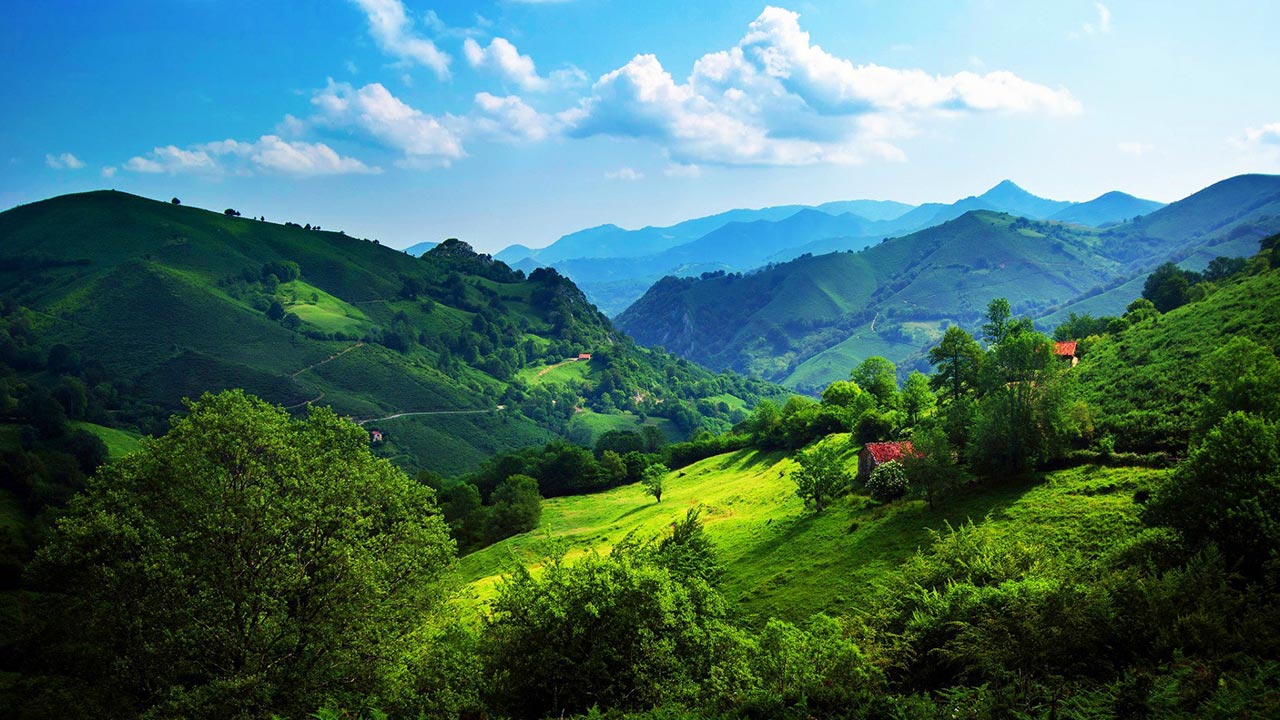 Nithesh Tours and Travels Chikkamagaluru ನಿತೇಶ್ ಟೂರ್ಸ್ & ಟ್ರಾವಲ್ಸ್ ಚಿಕ್ಕಮಗಳೂರು